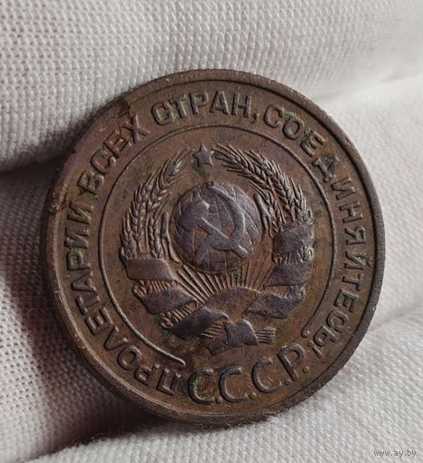 2 копеек 1924 года, СОХРАН