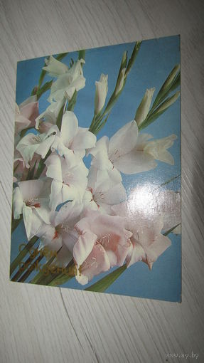 Открытка "С Днем рождения."