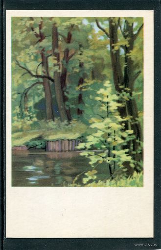 М. Сапожников. Карабиха. Верхний пруд. Изд. 1971.  06