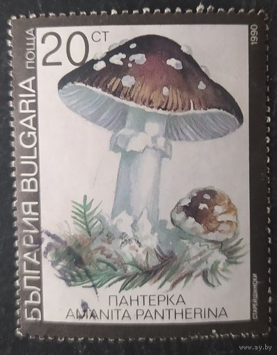 Камбоджа 1990 грибы 1 из 6.