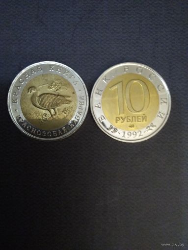 Краснозубая казарка