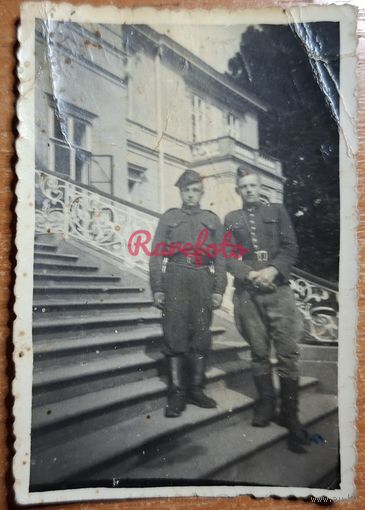 1940-е Польские солдаты лестница жовнеры жолнеры ретро фото