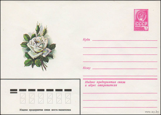 Художественный маркированный конверт СССР N 13325 (08.02.1979) Рисунок белой розы