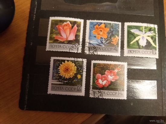 1969 СССР цветы флора гашеная полная серия МNH** (c-1)