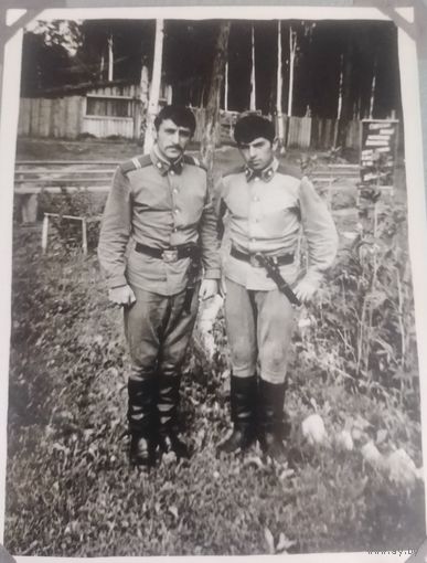 Фото в коллекцию