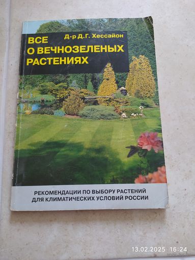 Все о вечнозелёных растениях