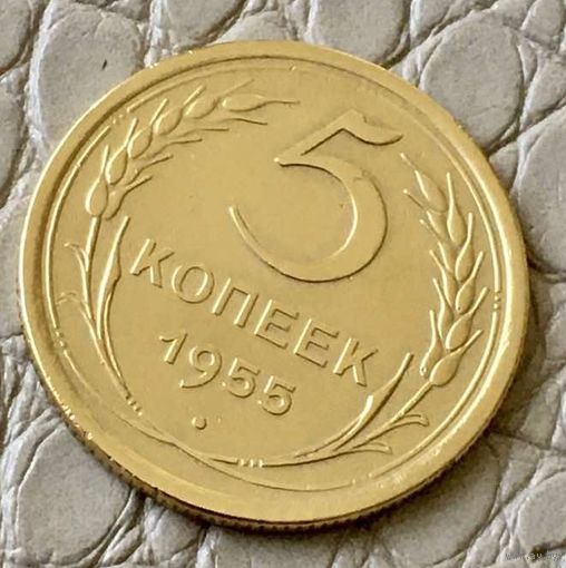 5 копеек 1955 года.