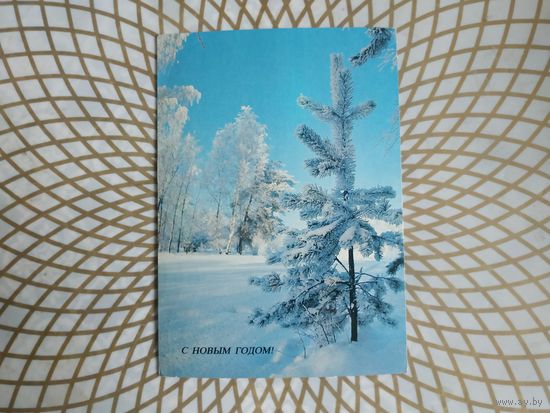 Открытка СССР 1984 год. Подписана . Н.Дейкин. Состояние на скане.  Тираж 1,4 млн.