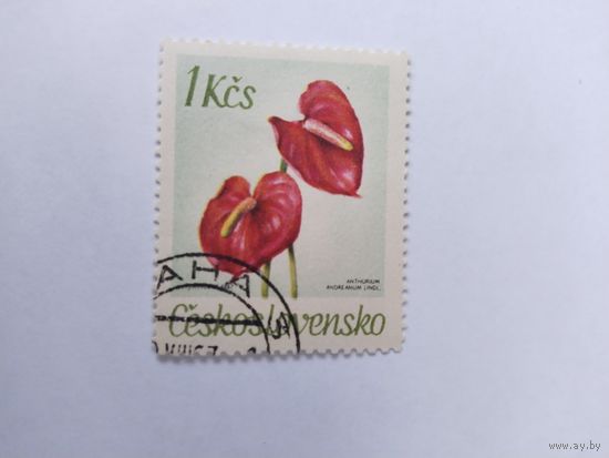 ЧССР  1967  цветы