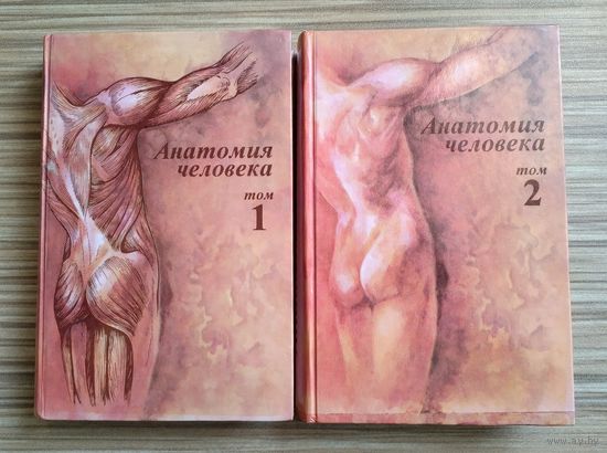 Анатомия человека (в двух томах). Борзяк Э.И., Бочаров Л.И., Сапин М.Р.