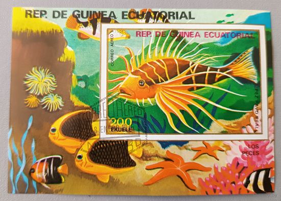 Рыбка. Экваториальная Гвинея, блок