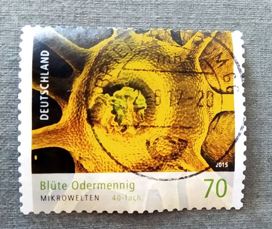 Марка Германия 2015 год Микромир Флора