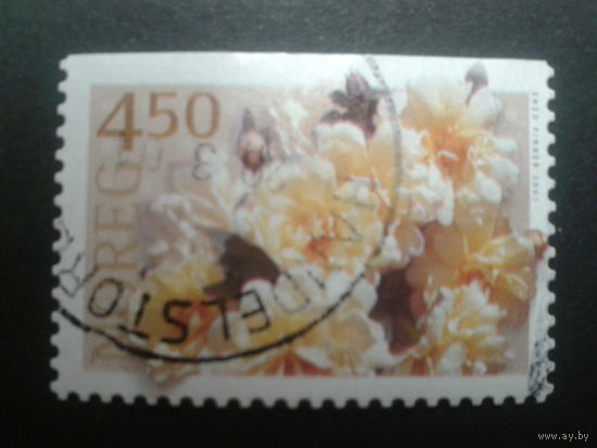 Норвегия 2001 розы