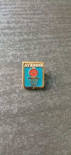 Значок Лужники. Баскетбол.
