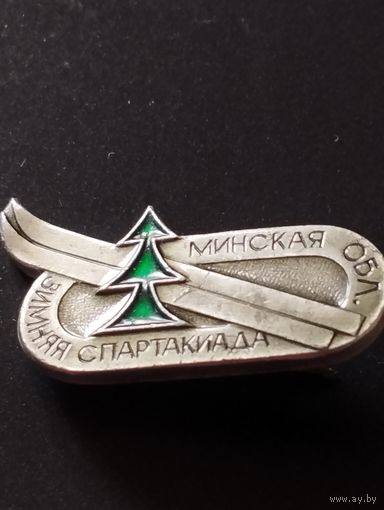 Зимняя Спартакиада Минская  обл.