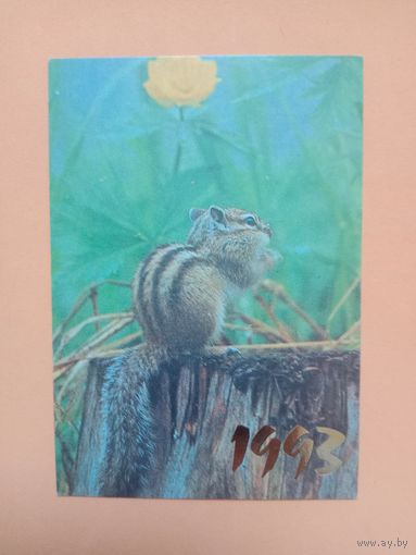 Календарик 1993