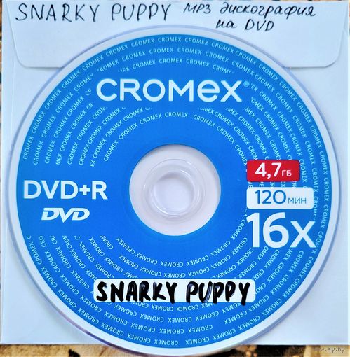 DVD MP3 дискография SNARKY PUPPY (Jazz, Jazz-Funk, Fusion) - 1 DVD