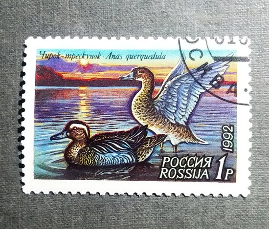 Марка Россия 1992 год Утки