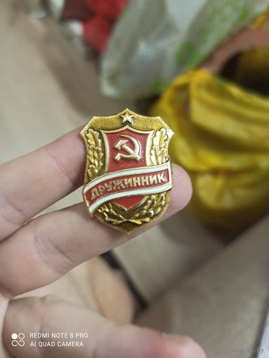 Значок дружинник