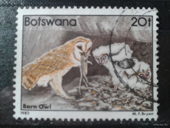 Ботсвана,1982. Сипуха, Mi-6,0 евро гаш.
