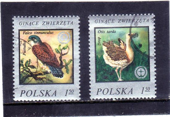 Польша. Mi:PL 2505,2506. Большая дрофа (Otis tarda), Обычная пустельга (Falco tinnunculus). Серия: Защита дикой природы. 1977.