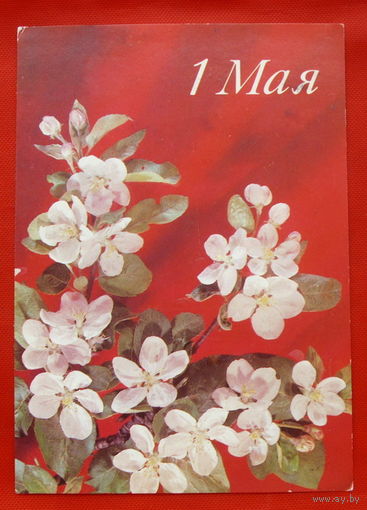 1 Мая! Подписанная. 1990 года. Дергилева. # 157.