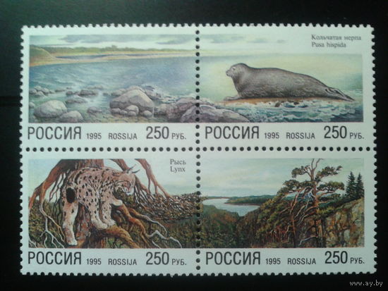 Россия 1995 Природа** совм. выпуск с Финляндией, квартблок