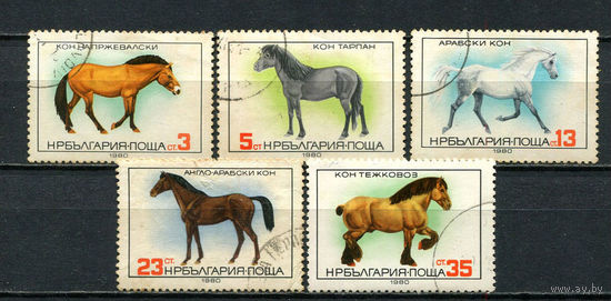 Болгария - 1980 - Лошади - [Mi. 2952-2956] - полная серия - 5 марок. Гашеные.  (LOT Gj6)-T3P22