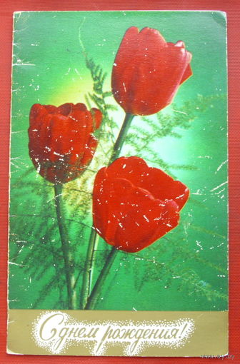 С днём рождения! Чистая. Двойная. 1978 года. Фото Костенко. 1512.