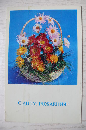 Игнатович Е., Нессонова И., С днем рождения! 1975, чистая (размер 9*14).
