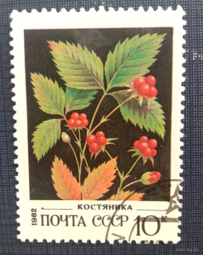 Марка СССР 1982 Костяника