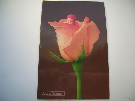 Дети Роза Фото Анна Геддес АртДизайн 2006 год Двойная подписана