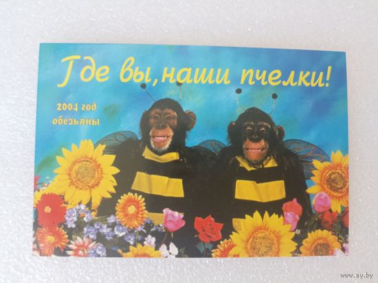 Животные, Обезьяны, 2004 год. Карманные календарики, Календарик, Календарь