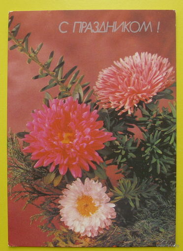 С Праздником! Чистая. 1989 года. Круцко.