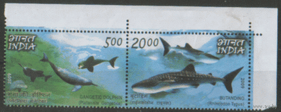 ИНД*. 2009 г. Дельфины касатки. Совместный выпуск с Филиппинами. СцЕпКа. ЧиСт.