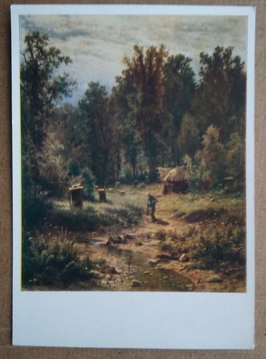 Шишкин И. Пасека в лесу. 1960 г. Чистая.