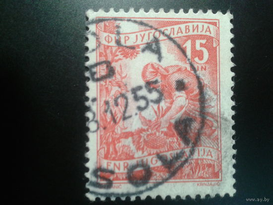 Югославия, 1951. Стандарт. Выращивание подсолнухов