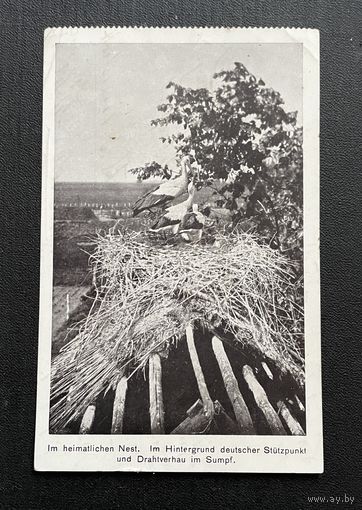 Брэст-Літоўск Ракітна Брест-Литовск / На пазіцыях / Фельдпошта 17.11.1918 STURM Kapitan Willy Meyer