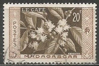 Французский Мадагаскар. Кофе арабика. 1957г. Mi#436.