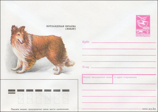 Художественный маркированный конверт СССР N 89-132 (09.03.1989) Шотландская овчарка (Колли)