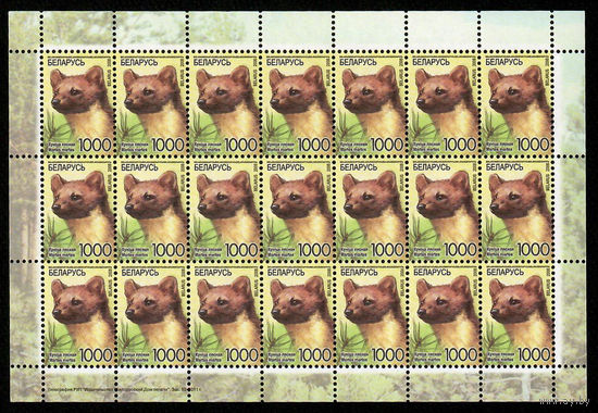 Беларусь. 2008. Стандарт. Куница лесная (1000р) (з.53-2011) Лист