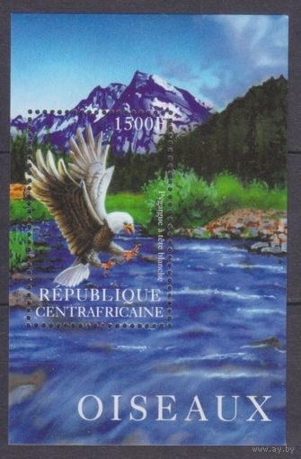 2001 Центральноафриканская Республика 2692/B652 Хищные птицы 7,00 евро