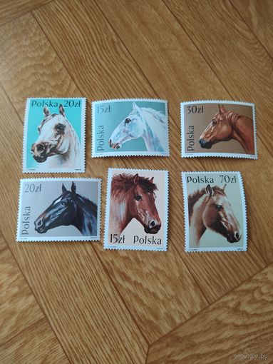 Польша серия марок 1989 г. Лошади.