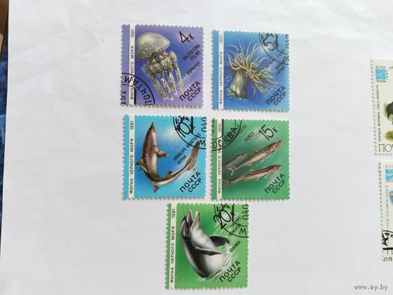 СССР 1991 5 м фауна Черного моря