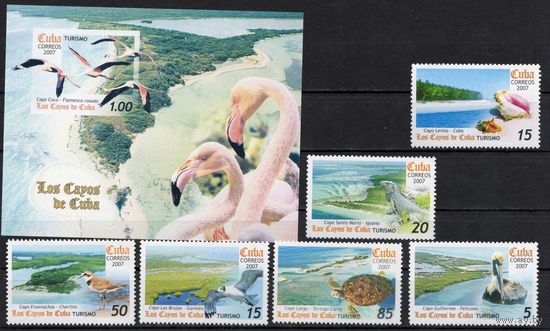 Куба 2007.Туризм. Фауна островов птицы, черепаха 6марок+блок  (4932-37)