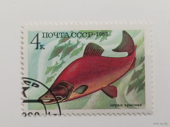1983 СССР. Рыбы. Нерка красная