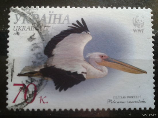 Украина 2007 Пеликан в полете WWF