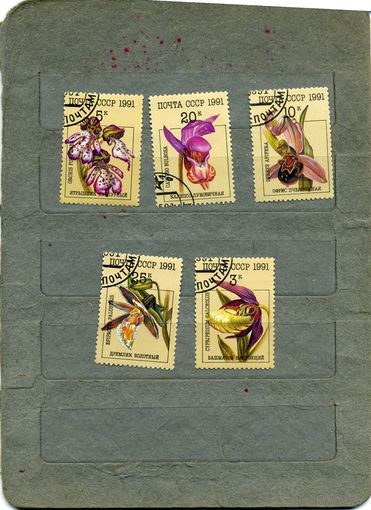 СССР, 1991, ОРХИДЕИ, серия 5м гашен