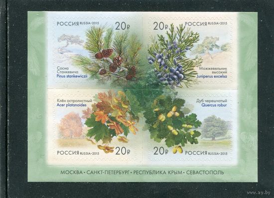 Россия 2015. Аллея. Деревья. Нижний квартблок листа