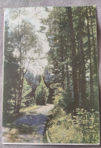 Почтовая открытка. Паштовая картка. Пейзаж Белорусская ССР. 1966 год. Подписана